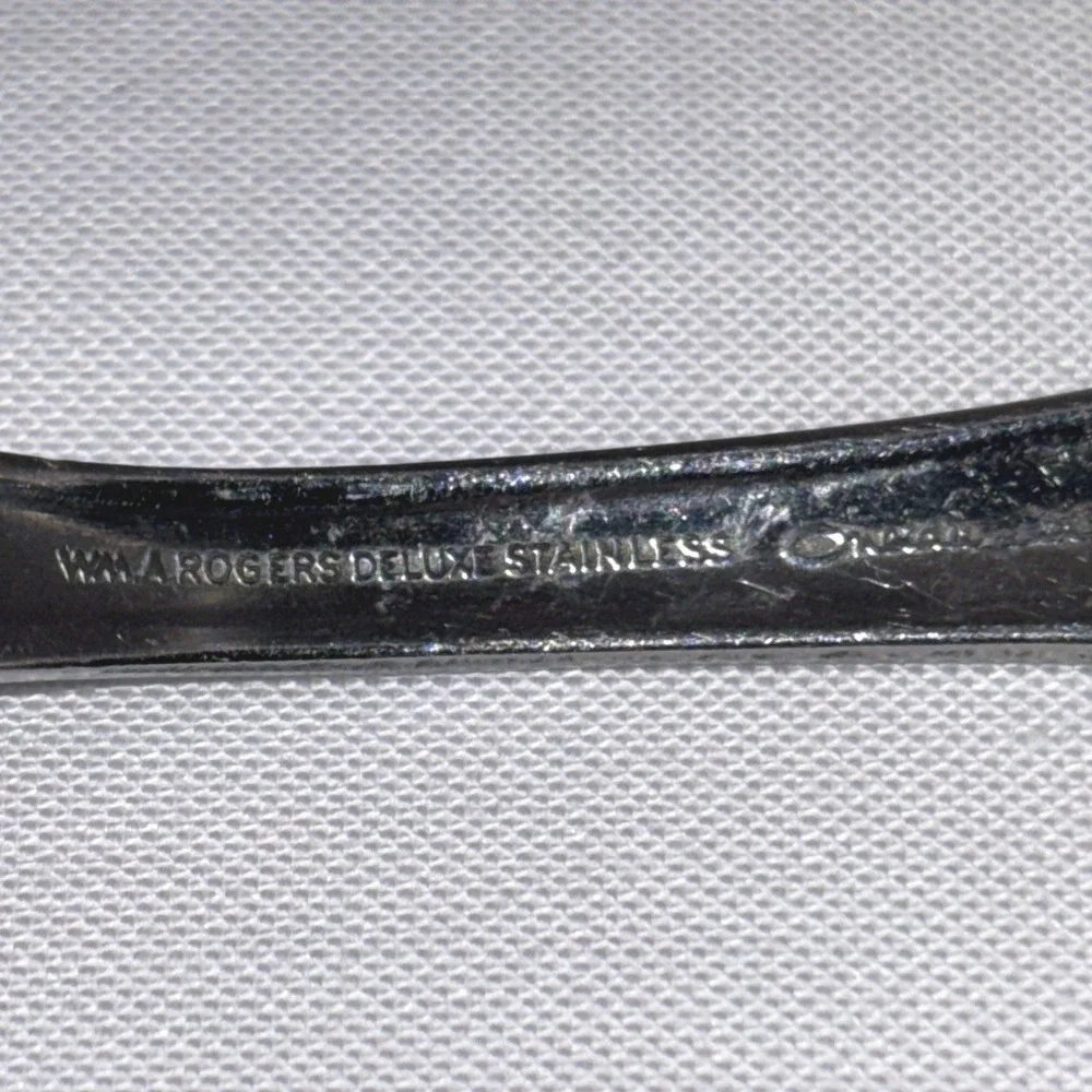 Wm A Rogers Oneida Malibu Single Serving Spoon Stainless Flatware Flowers 8 3/4